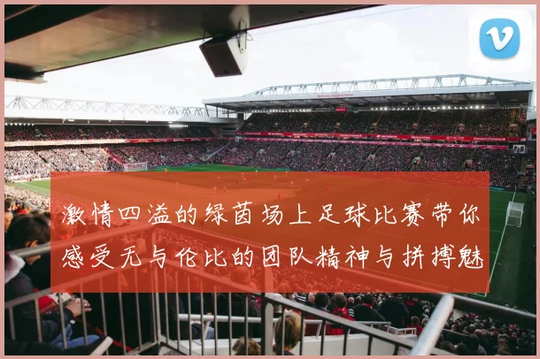 激情四溢的绿茵场上足球比赛带你感受无与伦比的团队精神与拼搏魅力