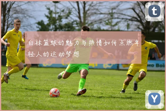 白袜篮球的魅力与热情如何点燃年轻人的运动梦想