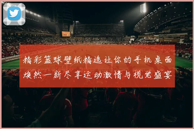 精彩篮球壁纸精选让你的手机桌面焕然一新尽享运动激情与视觉盛宴